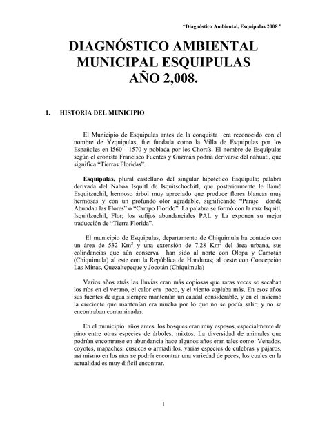 Diagn Stico Ambiental Municipal Esquipulas