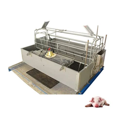 Pig Farm Equipment Galvanized Farrowing Crate Sow Gestation Bed Pig