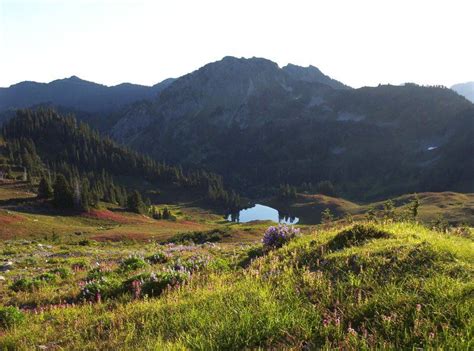 Olympic National Park Hoh Lake And Heart Lake Via Hoh River Trail