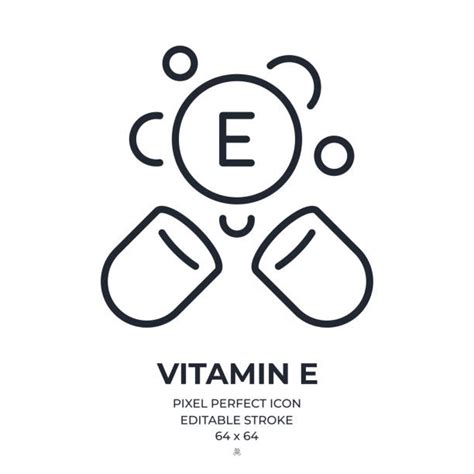 10 Foods Rich In Vitamin E Stock Illustrations Royalty Free Vector