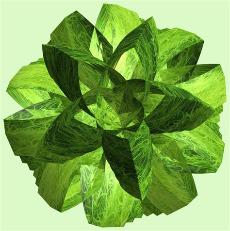 Free Images Structure Texture Leaf Flower Pattern Food Green