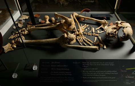 Why Do Europeans Have Light Skin? Ancient DNA Reveals Answers To Modern