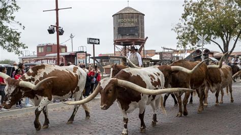 Fort Worth Stockyards getting new development - Axios Dallas