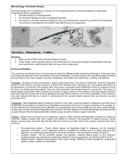 Microbiology of Activated Sludge | PDF | Sewage Treatment | Microorganism