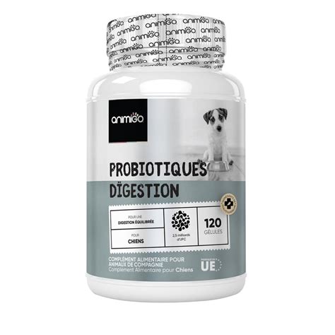 Probiotiques Digestion Confort Intestinal Du Chien