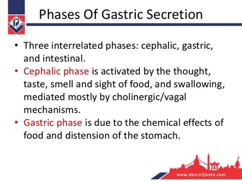 Gastric acid secretion