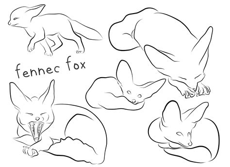 Fennec Fox Lineart