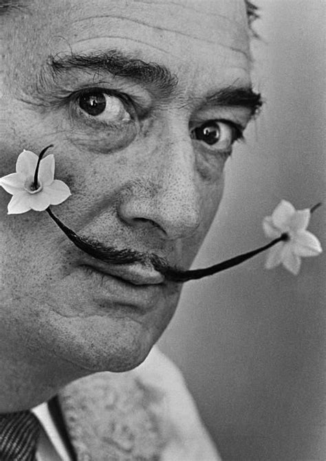 Philippe Halsman Salvador Dal Salvador Dali Art Dali Art