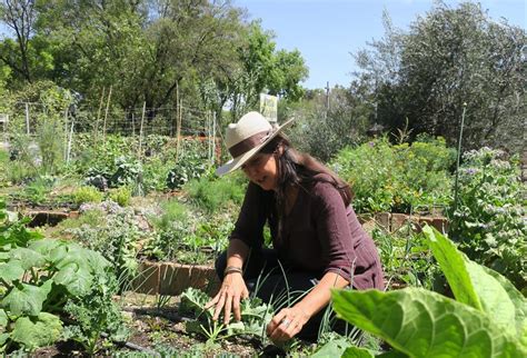 Los Huertos Urbanos Mantienen Viva La Agricultura En Ciudad De M Xico