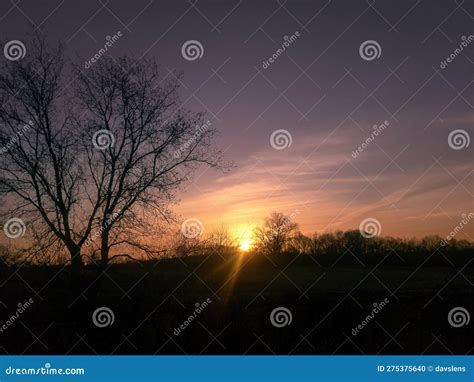 Sunset in the meadows stock photo. Image of beautiful - 275375640