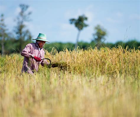 World Bank Downgrades Growth For Developing East Asia And Pacific To 3