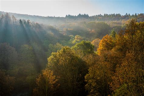 Autumn Bremthal Eppstein Germany Pilze Taki Kura Flickr