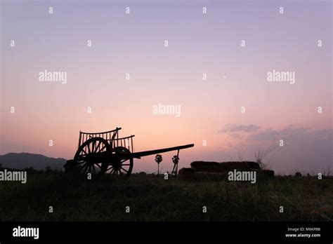 silhouette of bullock cart in field with sunrise background Stock Photo - Alamy