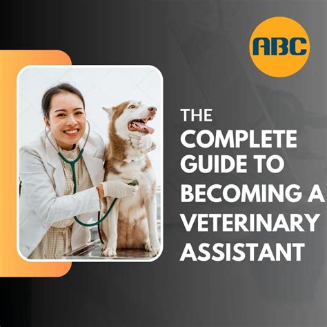 The Complete Guide To Becoming A Veterinary Assistant Animal Behavior