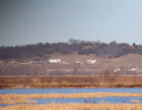 Dan Mills - Loess Bluffs National Wildlife Refuge