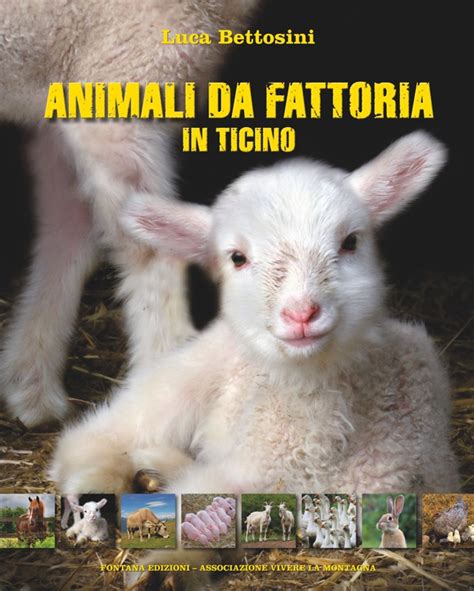 Animali Da Fattoria In Ticino Associazione Vivere La Montagna