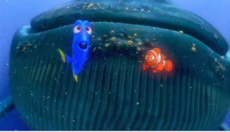 Disney Animation ~ The world of fantasy!: Finding Nemo~~~