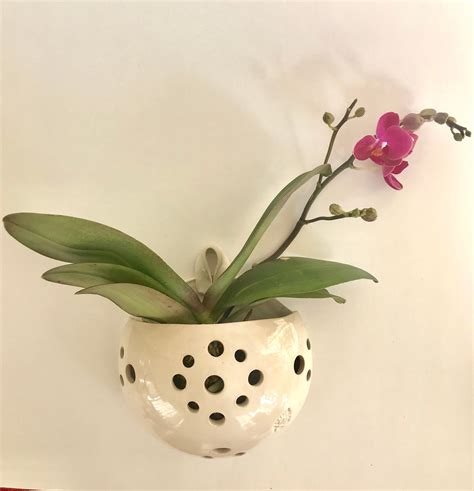 White Orchid Pot Airplant Pot Hanging 5 12 Inch Wall Pocket Etsy