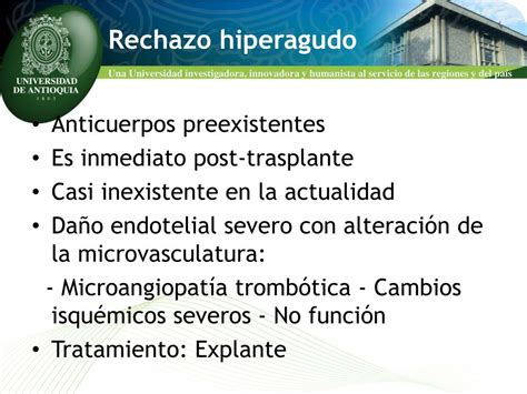 Ppt Utilidad De La Biopsia En Trasplante De Rganos S Lidos