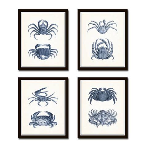 Vintage Blue Crabs Print Set No Crab Prints Wall Art Art Etsy