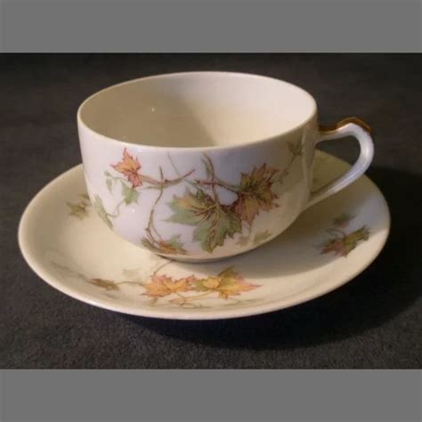 Set Of Charles Haviland Co Limoges Jewel Tea Autumn Leaf