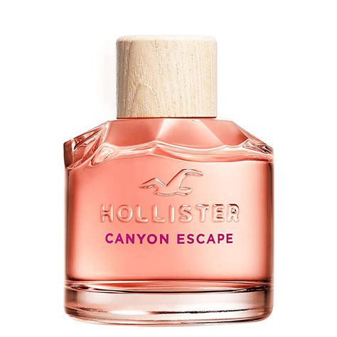 Hollister Canyon Escape Perfume Hollister Scent Box Subscription