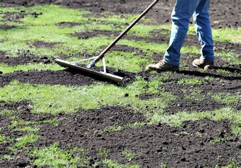 Top Dressing And Overseeding Is The Absolute Best Way To Renovate Your