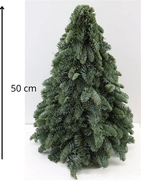 Kerstboom Echte Kerstboom 50 Cm Nobilis Groen Natuurlijk