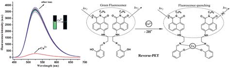 A New Naphthalimide Based Fluorescent Turn Off Sensor For