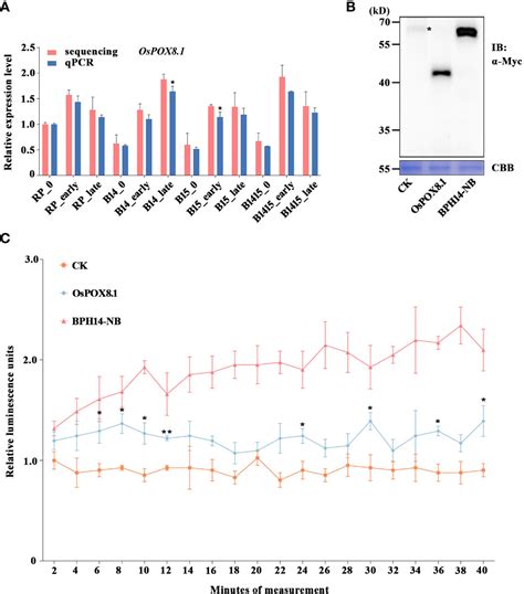 Frontiers Transcriptome Analysis Revealed Differentially Expressed