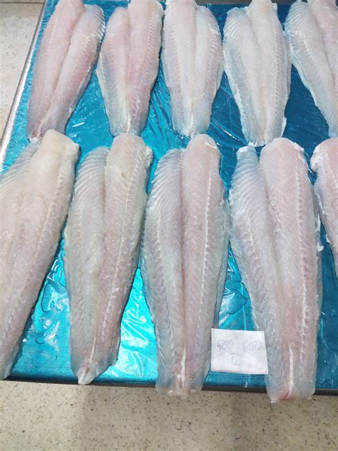 Buy Iqf Frozen Pangasius Basa Fish Fillet Well Trimmed From Viet Hong