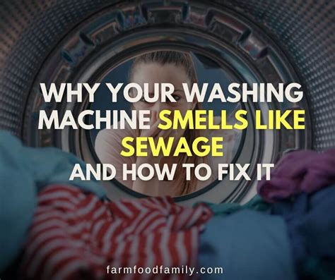 Why Your Washing Machine Smells Like Sewage And How To Fix It