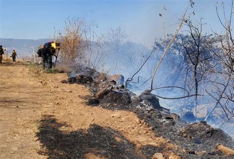 Zapopan Se Registra Un Incendio Forestal En Bosque De El Centinela