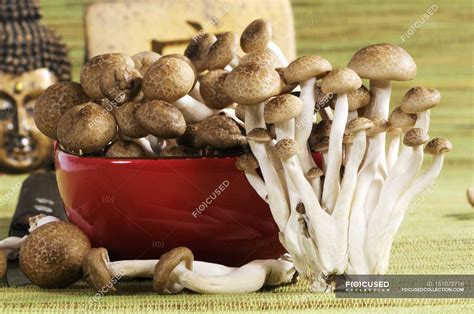 Brown Beech Mushrooms — Buna Shimeji Series Stock Photo 151073716