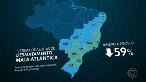 Desmatamento na Mata Atlântica cai quase 60 de janeiro a agosto deste