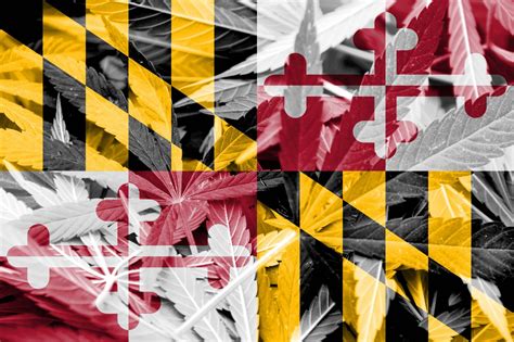 Maryland Dispensary License Maryland Cannabis License