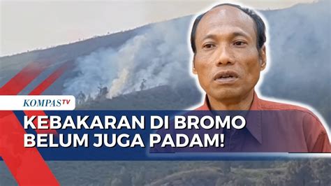 Kebakaran Di Bromo Akibat Foto Pre Wedding Belum Padam Api Masih