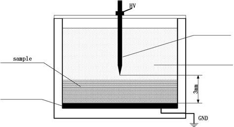 Schematic Of Pin Plate Electrode Model Download Scientific Diagram