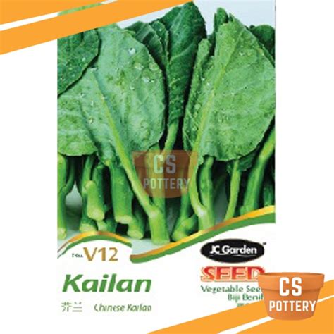 Cs Pottery V Chinese Kailan Jc Garden Vegetable Seed Biji Benih