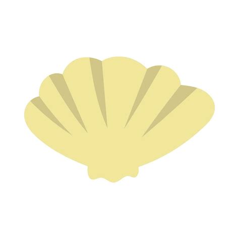 Seashell Vector Illustration 35497971 Vector Art At Vecteezy