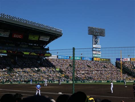 甲子園球場のsmbcシートで阪神戦を楽しむ Marikoさんの学ぶ日々