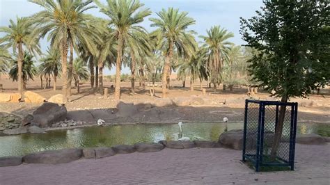 Sharjah Desert Park | Also known as Sharjah Zoo