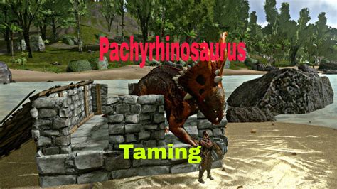 Pachyrhinosaurus Taming Ark Mobile Taming Series Youtube