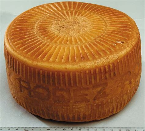 Tomme De Rodez Fromage