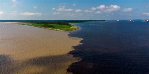 Pontos Turísticos Da Amazônia - Passeios na Amazônia: o que fazer e principais pontos turísticos ...