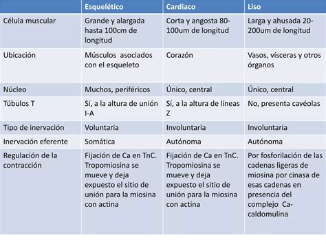 Histologia Musculo Liso PPT