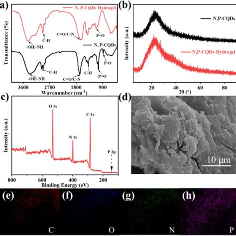 A The FT IR Spectra And B XRD Patterns Of The N P CQDs And N