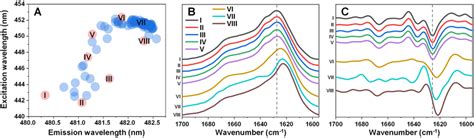 Excitation Emission Matrix EEM Positions Of Fibril Bound ThT