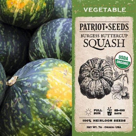 Organic Squash Winter Burgess Buttercup Seeds 7g Heirloom My