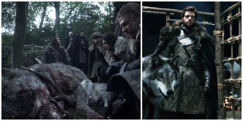 Game Of Thrones The Bond Between Direwolves And Starks Explained